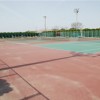 sengen_tennis