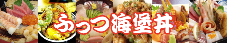 ふっつ海堡丼