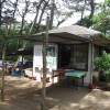 DSCF2219