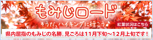 もみじロード