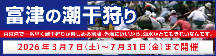 富津の潮干狩り